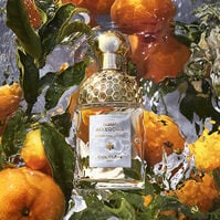 Aqua Allegoria Mandarine Basilic  125ml-204380 Aqua Allegoria Mandarine Basilic  125ml-204380 1